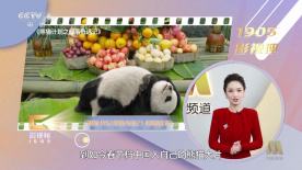 日韩理伦片片在线